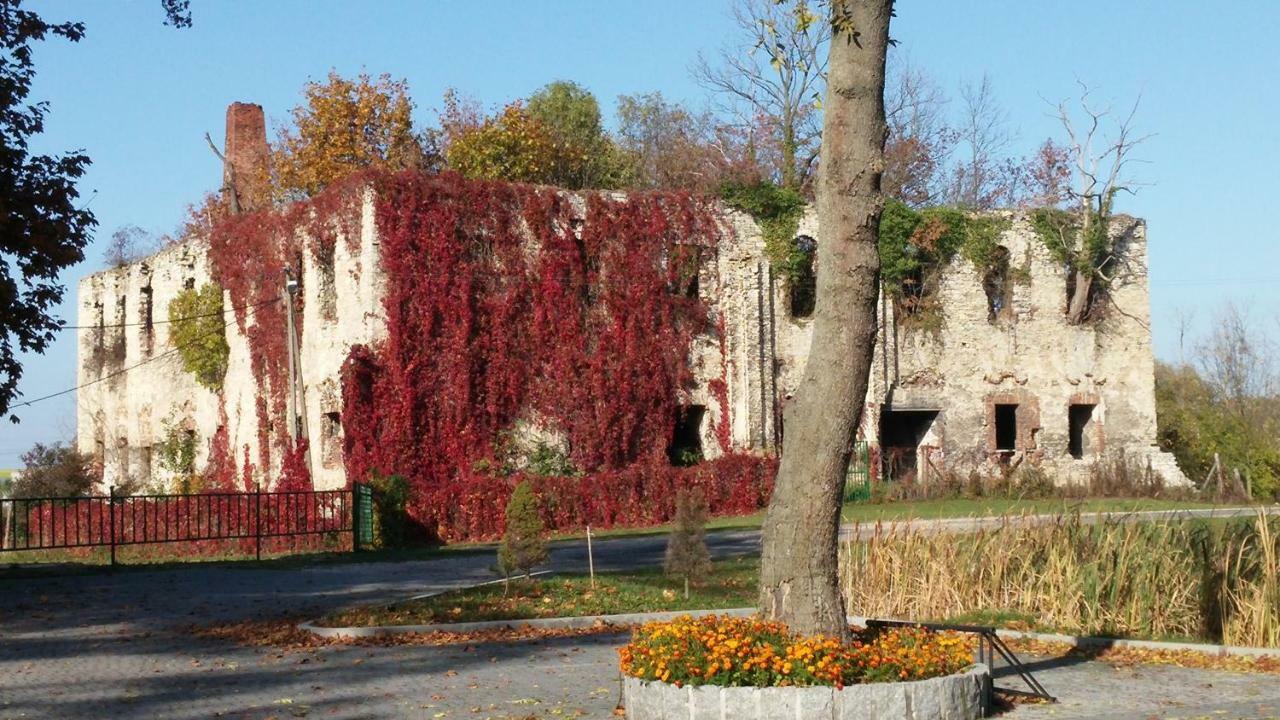 Palac Lucja Bb Zakrzów Εξωτερικό φωτογραφία